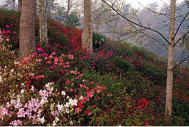 GOG喜加一！免费领取赛博朋克风冒险游戏《VirtuaVerse》